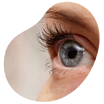 Consulta de oftalmología